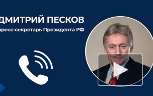 Песков назвал ситуацию с зерном результатом ошибок Запада