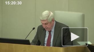 Госдума приняла в первом чтении проект об электронной однократной визе