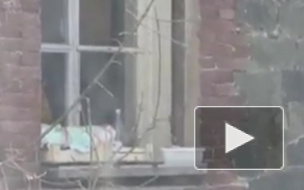 Видео из Владивостока: горя-мамаша "выгуливала" младенца на карнизе