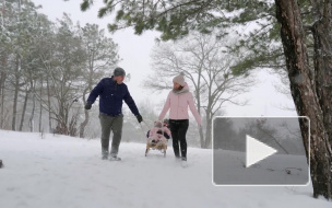 Министр труда прокомментировал предложение сделать 31 декабря выходным 