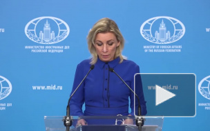 МИД России прокомментировал заявление Японии о принадлежности Курил