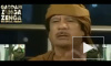 Каддафи готов сдаться и покинуть Ливию