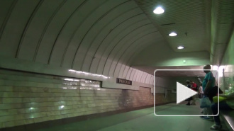 Пьяный мужчина спрыгнул на рельсы московского метро, чтобы спасти котенка
