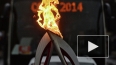 Олимпийский огонь в Краснодаре 04.02. несли пресс-секрет ...