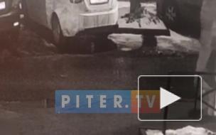 Видео: неизвестный вырвал сумку у жительницы Сестрорецка на улице