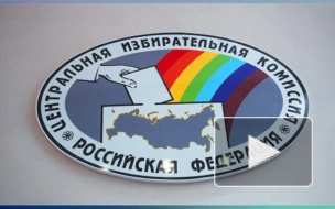 На выборах в Госдуму проголосовало уже 5% избирателей