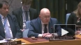 СБ ООН не принял резолюцию России по расследованию ...