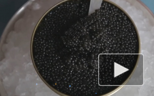 Производство черной икры в России выросло более чем на 20%