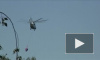 Названы две возможные причины падения вертолета Ми-26 в ХМАО