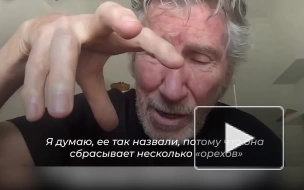 Основатель Pink Floyd попытался объяснить название ракеты "Орешник"