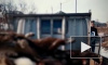 Жуткое видео из Благовещенска: Задержан владелец приюта для собак после гибели 47 питомцев