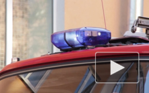 В Петербурге ищут разбойников, которые под дулом автомата отобрали 300 тысяч рублей у фирмы на Домостроительной улице