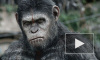 Фильм «Планета обезьян: Революция» (2014) бьет рекорды кассовых сборов