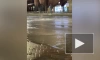 Из-за неисправного гидранта на Московском проспекте забил фонтан