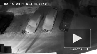Жуткое видео убийства из Новосибирска опубликовали в интернете (18+)