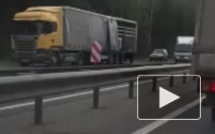 Во Владимирской области из-за разлитой мыльной жидкости на дороге погибли 2 человека