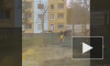 Видео: На Сахалине прохожие поймали маленького мальчика, который чуть не упал с 4 этажа