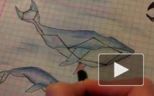 #СинийКит: "группы смерти" перебрались в Instagram и Twitter