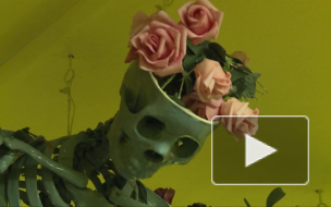 Куда пойти в Ночь Музеев? Топ-5 новых и необычных музеев Петербурга