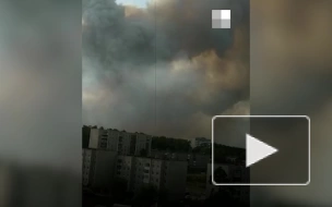 В Свердловской области из-за лесного пожара эвакуируют детские учреждения