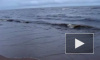 На Ладожском озере и Финском заливе снова штормит