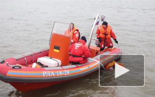 Волгоградец сиганул вниз головой с моста Александра Невского в Петербурге, но чудом остался жив