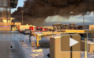 Спустя 17 часов спасатели ликвидировали пожар в Шушарах