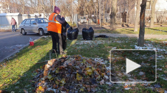 Более 86 тысяч кубометров мусора: в Петербурге завершился месячник по благоустройству