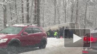 В ДТП с автобусом на Приморском шоссе погиб человек