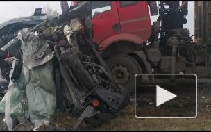 Видео: В Брянской области в ДТП с грузовиком из-за уснувшего водителя погибли 3 человека 