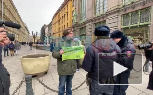 В Петербурге прошла пикетная очередь солидарности с жителями регионов, борющимися против сжигания токсичных отходов