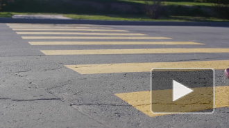 В России появятся приподнятые "зебры"