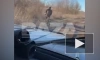 МВД России: мужчина в камуфляже открыл огонь по полицейским в Ростовской области