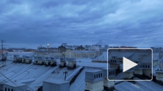 В Петербурге запретили массовые мероприятия из-за коронавируса