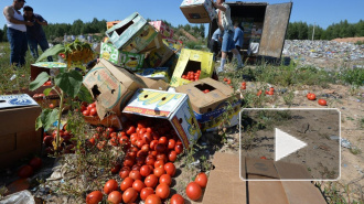 Из санкционных фруктов в деревнях гонят самогон