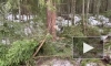 В Тверской области в ДТП погибли два человека