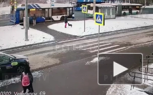 На проспекте Ветеранов водитель Kia сбил школьника