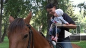 Маленький жокей
