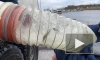 Водоканал выпустил в Финский залив 25 тысяч мальков судака 
