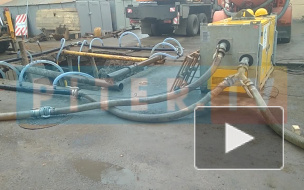 На Петроградке ведутся работы по проводке газа