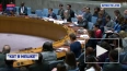 Небензя прокомментировал резолюцию СБ ООН о перемирии ...