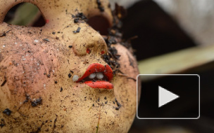 На Васильевском острове педофил дважды жестоко изнасиловал ученицу младших классов