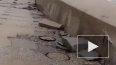 Появилось видео обвала Олимпийской набережной в Сочи