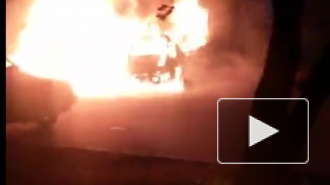 На проспекте Непокоренных  пожар уничтожил Ford Focus