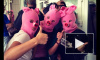 «Хрюши» обнародовали видео продовольственного панк-молебна Puggi Riot