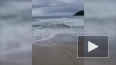 Бывший тайфун "Лупит" подтопил пляжи на юго-востоке ...