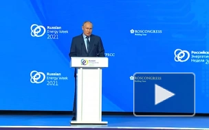 Путин: рост цен на газ в Европе стал следствием дефицита электроэнергии