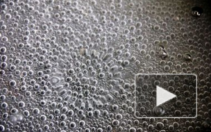 Энергетики Петербурга оплатят лечение мальчику, упавшему в яму с кипятком