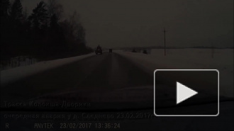 Повезло на трассе Колокша - Дворики.
