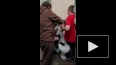 "Кошкиспас" показали, как вытаскивали кота из туалетной ...